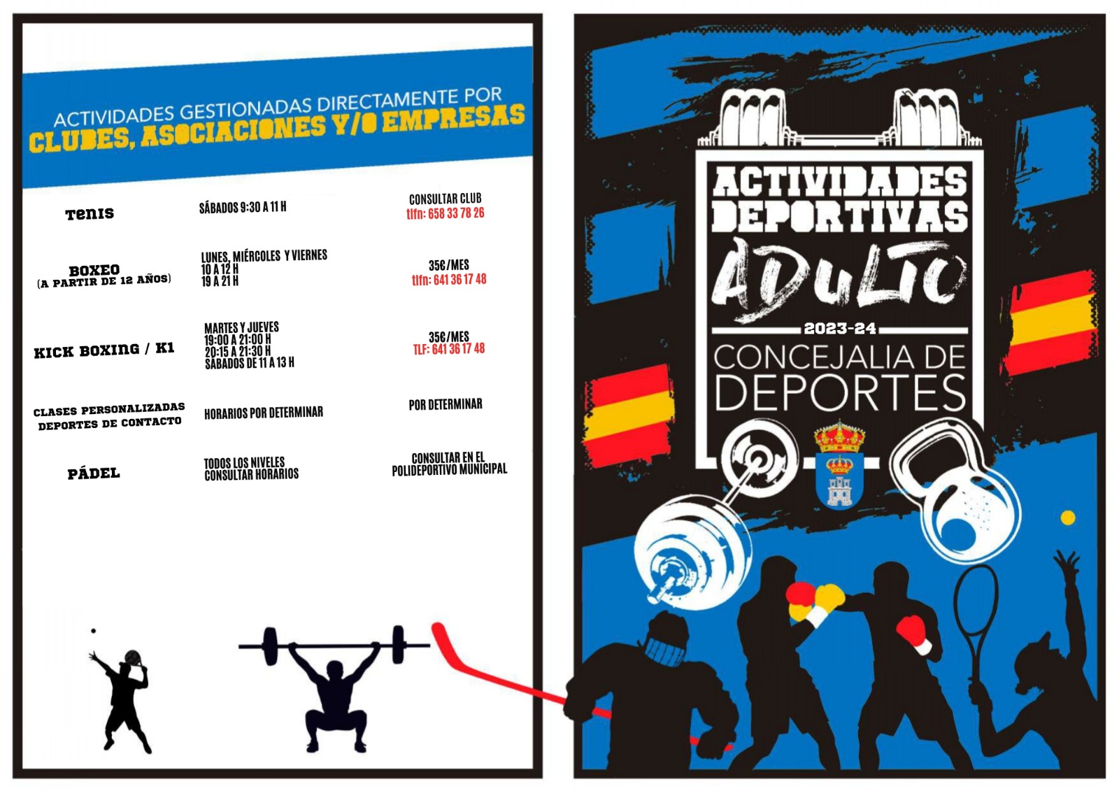 actividades deportivas adultos 2023 2024