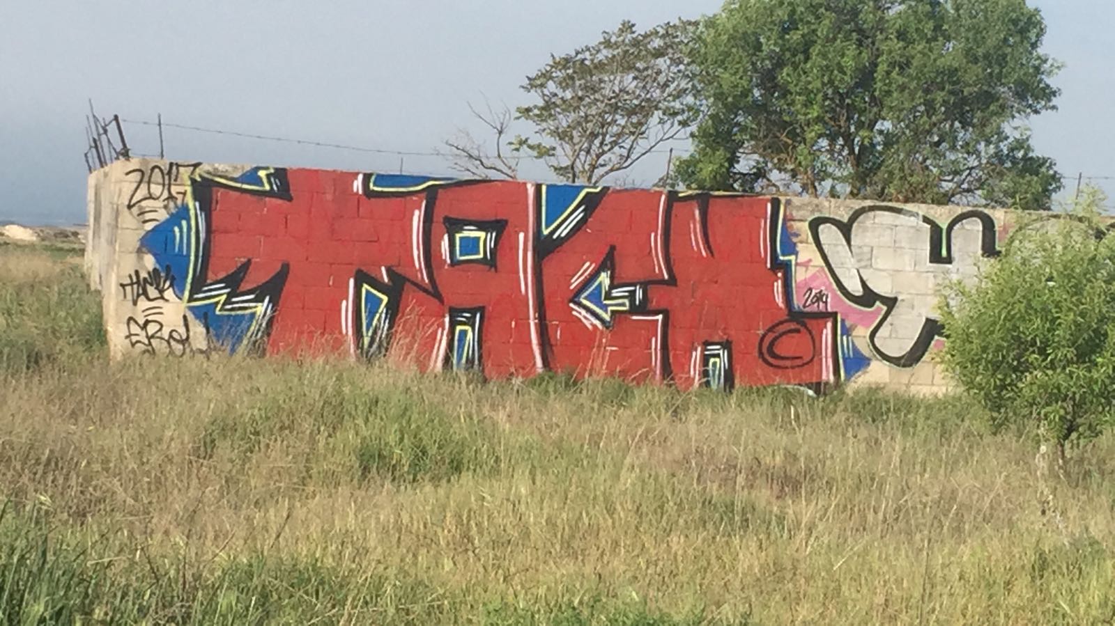 grafiti6
